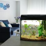 Kleines aquarium im wohnzimmer