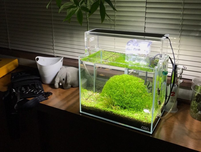 Kleines aquarium im wohnzimmer